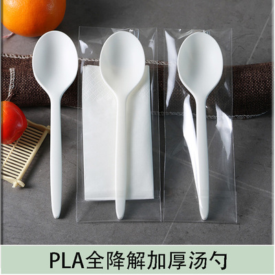 全降解一次性加厚勺子汤勺饭勺