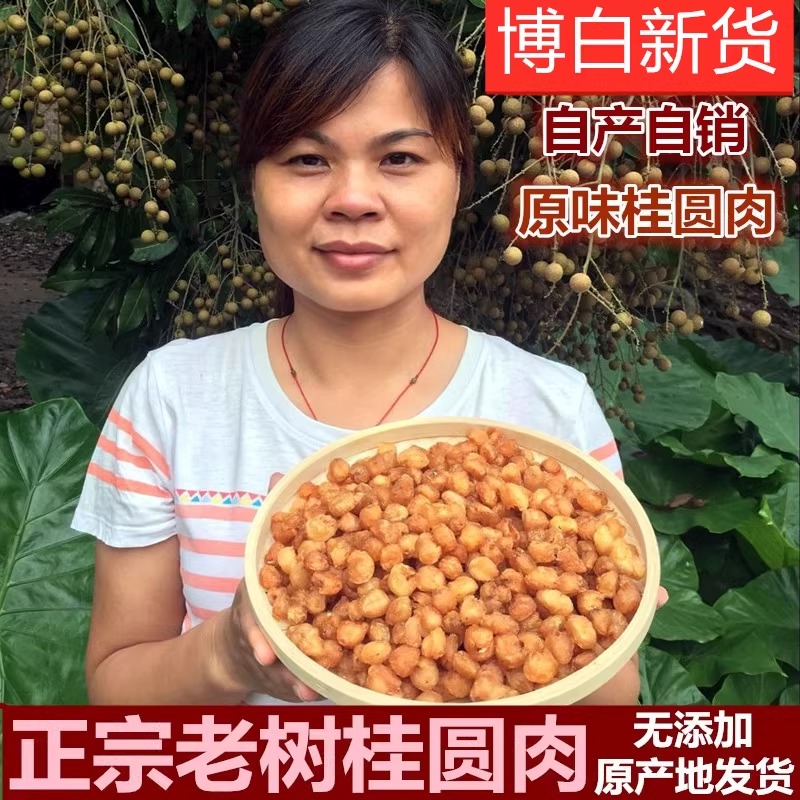 博白桂圆肉干无核博白桂圆干大果非高州龙眼肉干老树元肉500g包邮