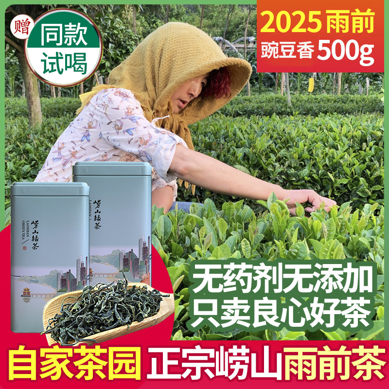 崂山绿茶2025新茶春茶叶浓香型500g袋装豆香浓礼盒装山东青岛特产