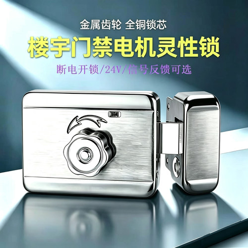 门禁电控锁电机锁灵性锁刷卡锁