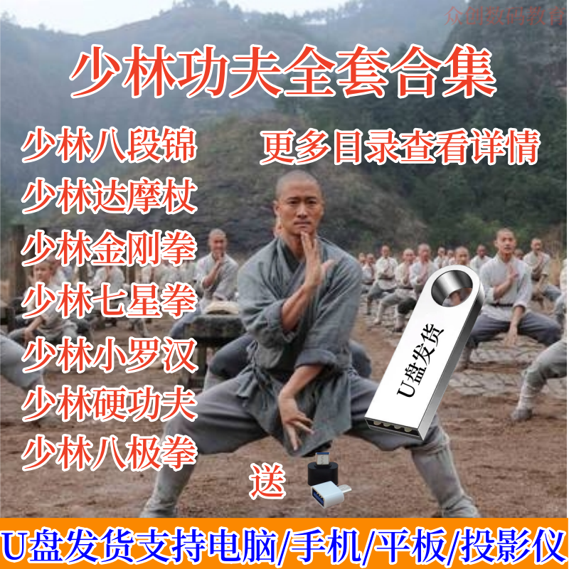 少林功夫教程武术视频U盘教学自学全套擒拿格斗防身绝技mp4优盘