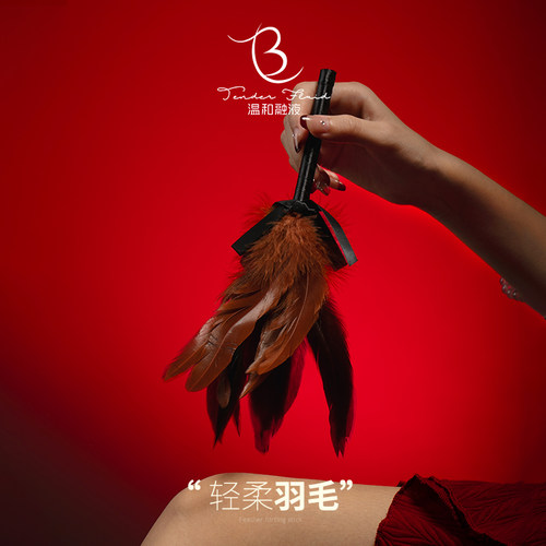 逗猫棒羽毛鸵鸟毛可演出天然黑色拍子手拍逗狗