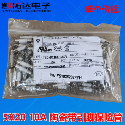 陶瓷保险管10A/带引脚