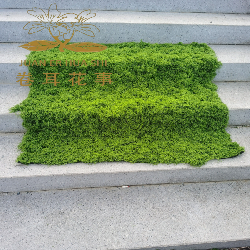 羊毛永生苔藓线形丝状青苔草皮高级创意装饰仿真苔藓仿真绿地毯,鲜花速递/花卉仿真/绿植园艺,仿真绿植,淘宝优惠券,粉丝福利购,淘宝优惠卷