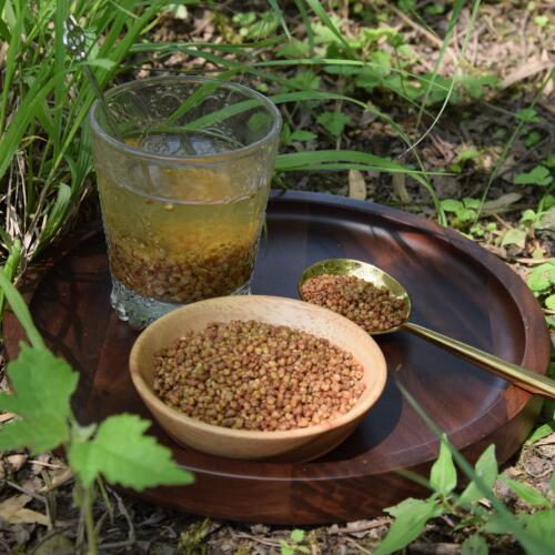 暖穗 苦荞茶 全胚芽整颗荞麦仁 手工炒熟 非膨化 醇香炒米茶