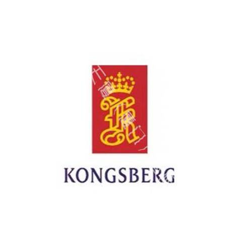 KONGSBERG GN-11 Thmcupl Amplifi 0-600℃ GN-100/A~