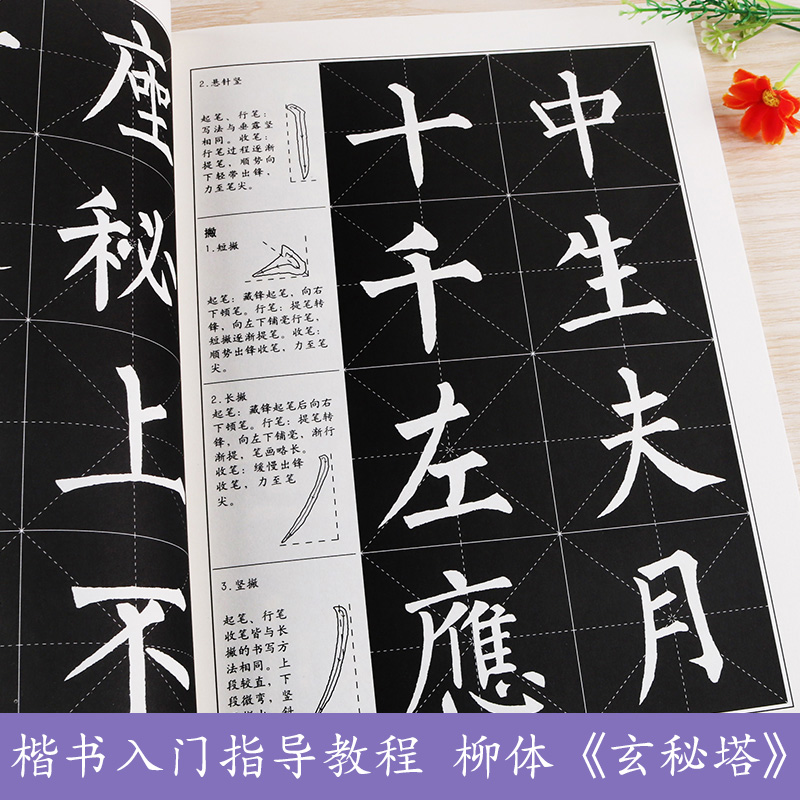 柳体玄秘塔字帖书法指导教程柳公权毛笔楷书教程成人毛笔书法入门字帖