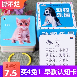 撕不烂启蒙认知卡动物乐园大中小班幼儿园学习卡图卡片识别卡锻炼脑力开发智力思维训练儿童趣味玩具带卡环含汉语拼音增加记忆知识