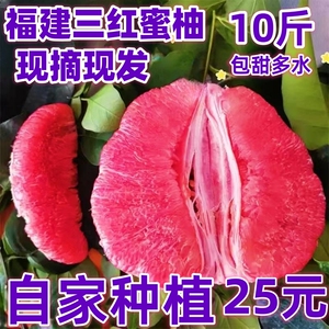 包甜福建平和红肉三红蜜柚子正宗红心新鲜现摘原产地管溪10斤包邮