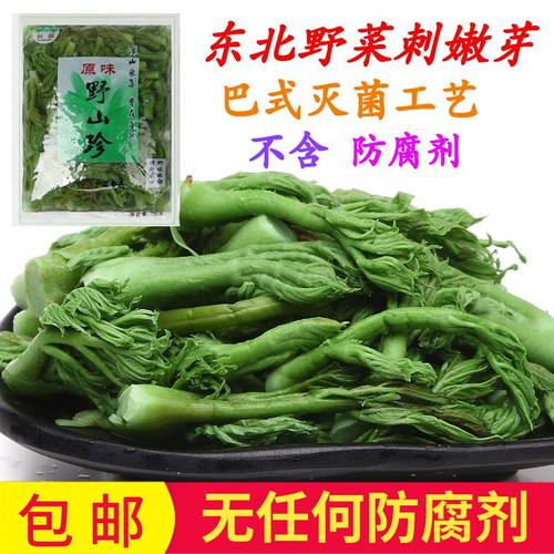 野生山野菜刺嫩芽无防腐剂山野菜
