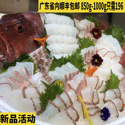 东星斑石斑鱼新鲜活冷冻深海鱼老虎斑海鲜水产刺身燕尾斑红石斑鱼