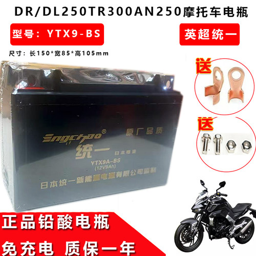 适用YTX9-BS摩托车电瓶豪爵铃木骊驰GW250-F-SGSX250RDL250蓄电池