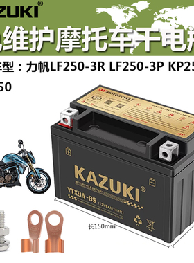 摩托车干电瓶力帆LF250-3R LF250-3P 力帆KP250 力帆KPS250蓄电池