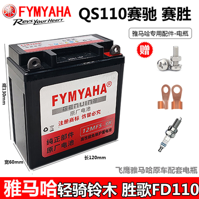 赛驰赛胜胜歌FD110干电瓶