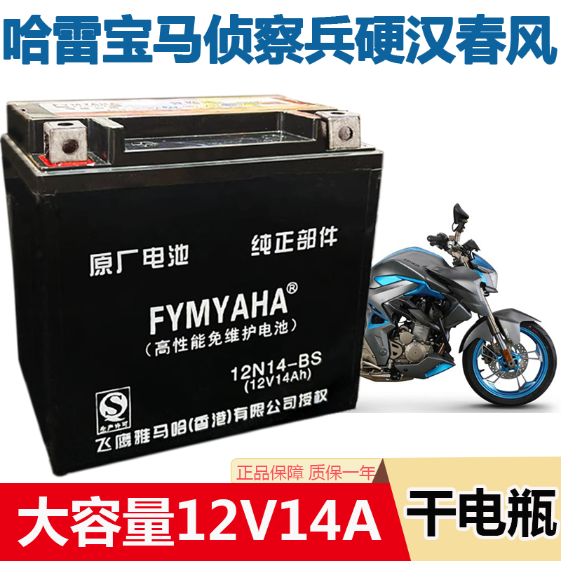 雅马哈飞鹰哈雷宝马干电瓶