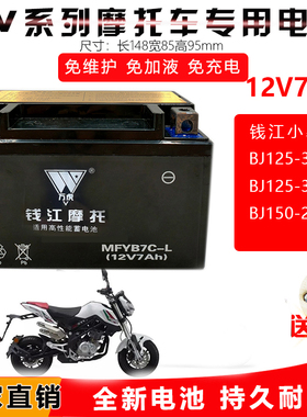 适用钱江小暴龙BJ125-3ETNT/135 BJ150-29B摩托车电池免维护12V7A