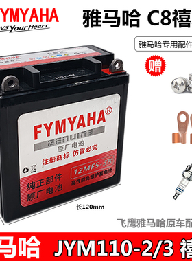 适用雅马哈 C8禧发JYM110/-2-3 摩托车弯梁天剑YBR125通用干电瓶