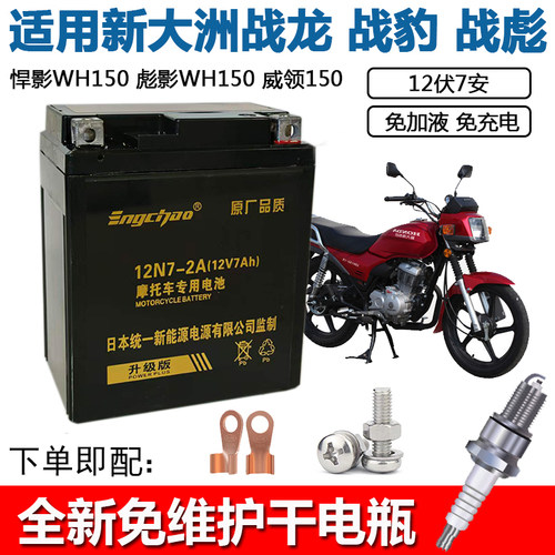 雅马哈飞致250摩托车电瓶12V6A培
