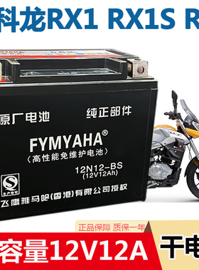 适用赛科龙RX1/RX1S/RT3/TX3S摩托车电瓶12V大排量专用免维护电池
