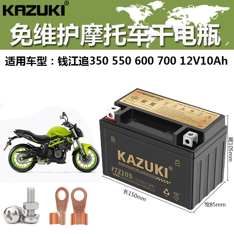 追350赛600闪300专用电瓶图片