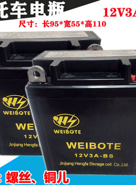 老款进口CG125摩托车电瓶 花猫银猫12V3A电池蓄电池免维护