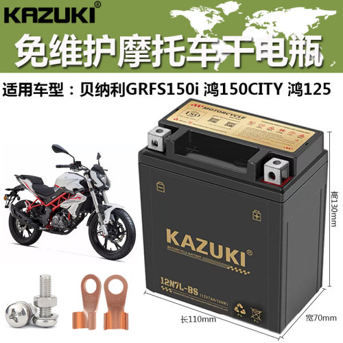 摩托车干电瓶钱江贝纳利RFS150i 鸿150CITY 鸿150ADV 鸿125蓄电池