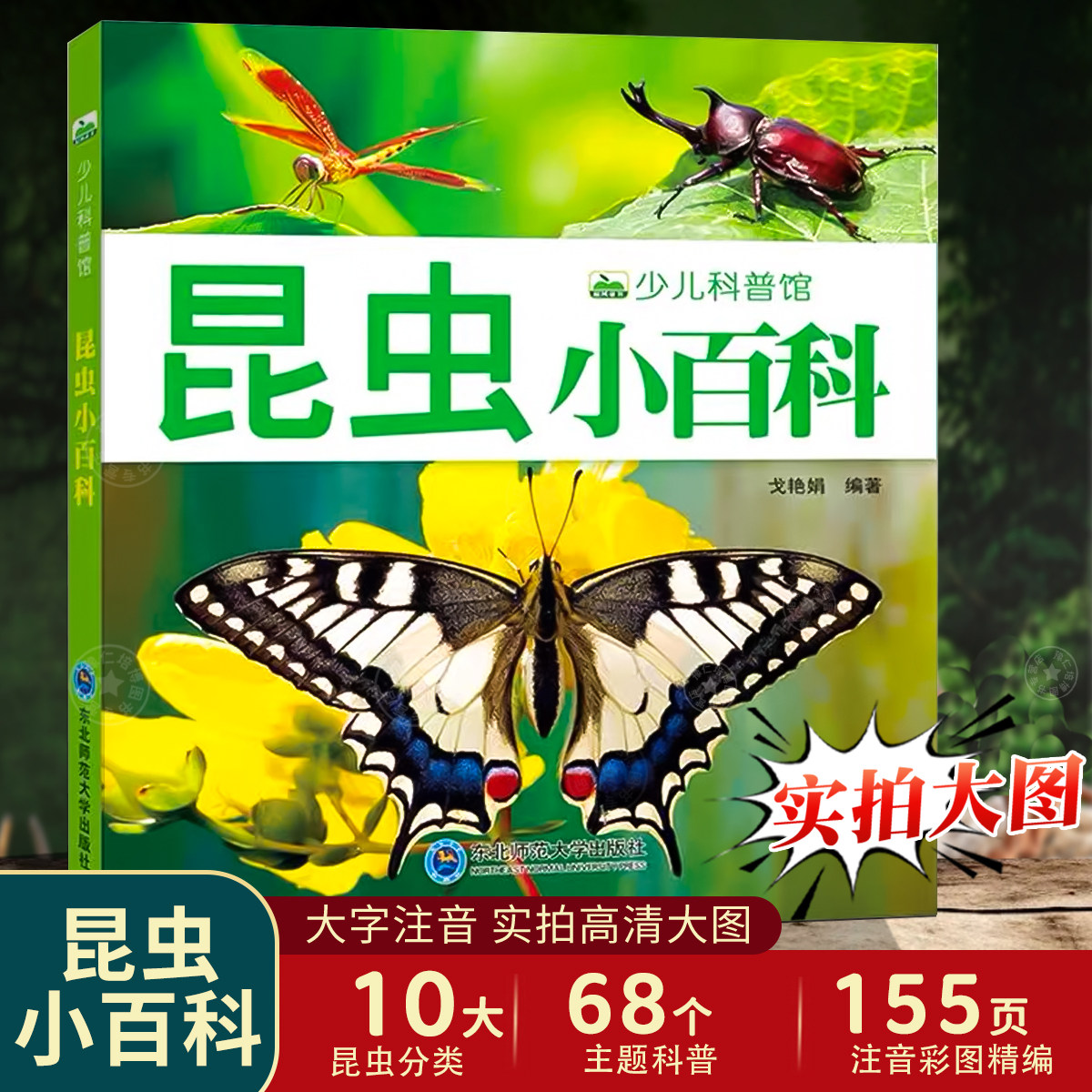 昆虫小百科 少儿科普馆昆虫书籍幼儿绘本认识虫子蝴蝶知识小百科虫虫书大全宝宝认知儿童关于昆虫的书图片图鉴小学生大百科昆虫