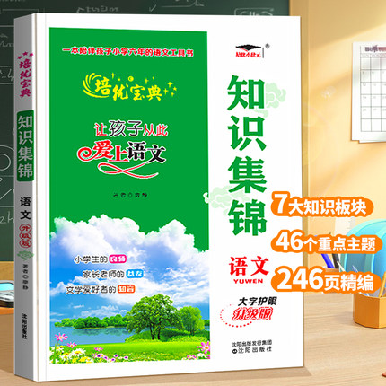 小学语文知识集锦 人教版小升初大集结小学生二年级三五六年级四年级知识基础归纳总结总复习资料大全课本1-6教辅工具书作文培优