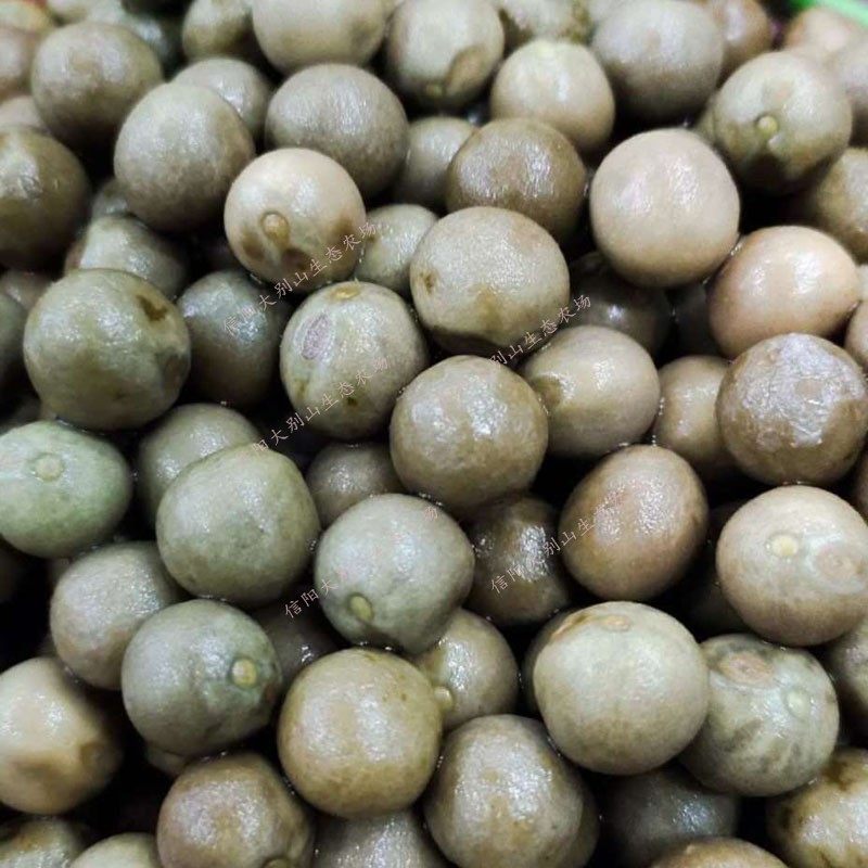 新货河南信阳鸡头果二青一级新鲜带壳野生鸡头米芡实米果500g包邮