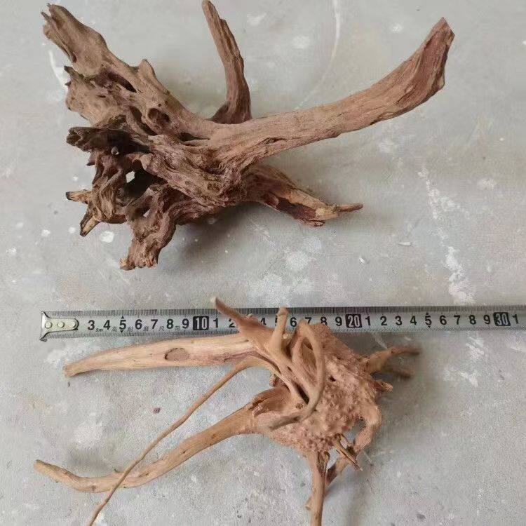 杜鹃根树枝莫斯树形天然沉木鱼缸水族服务