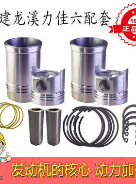 龙溪力佳SL2100 2105 2110四六配套缸套缸筒活塞环销发动机 配件