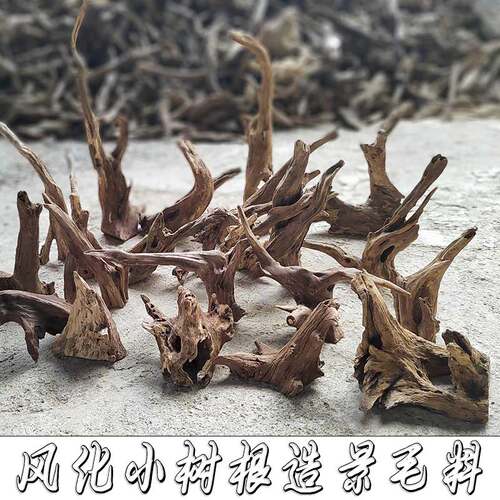 风化枯木小树根微景观装饰造景料