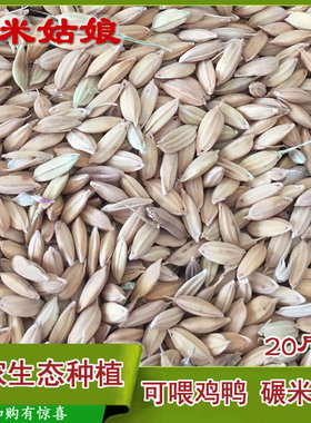 安徽芜湖农村新稻谷自种谷子稻子喂鸡鸭早稻谷20斤10kg带壳谷包邮