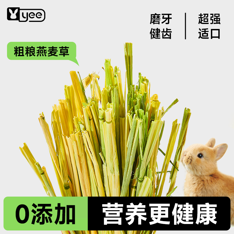 yee提摩西草小麦紫花苜蓿兔子