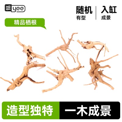 鱼缸天然栖根杜鹃木沉木躲避树根水族南美造景乌龟晒台虾木树桩