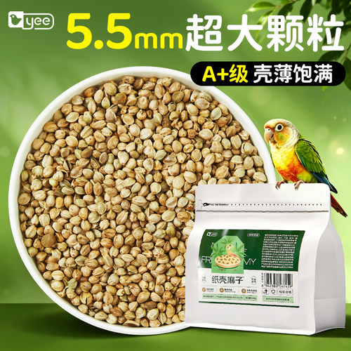 手工筛选5.5mm火麻子薄皮鸟零食