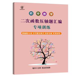 初中数学函数全国初中一次二次函数专题专项练习册初一初二初三复习资料七八九年级中考题型归纳突破专项训练