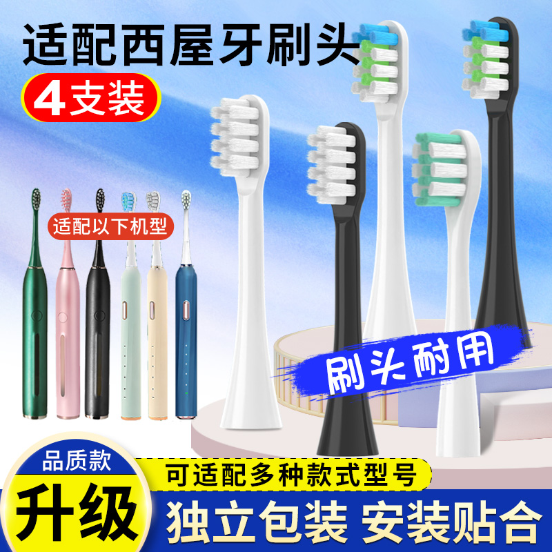 适用美国西屋电动牙刷头WT301G F K GF/WT504G 504Y W1替换头504L