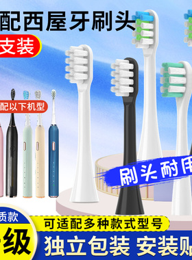适用美国西屋电动牙刷头WT301G F K GF/WT504G 504Y W1替换头504L