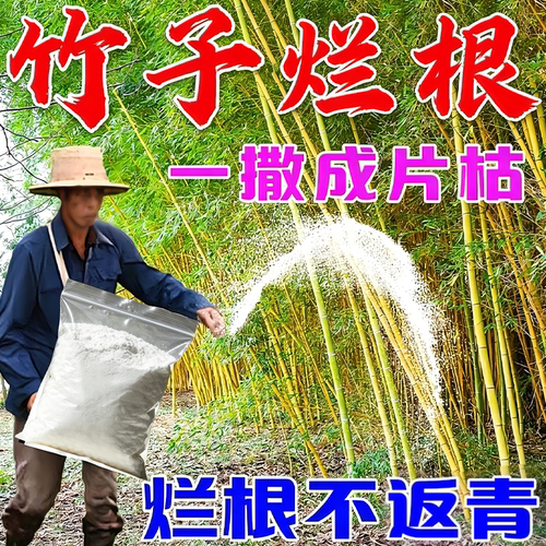 竹子连根烂杀打竹专用剂根杂草快速干枯连根清开荒老牌渗透剂正品
