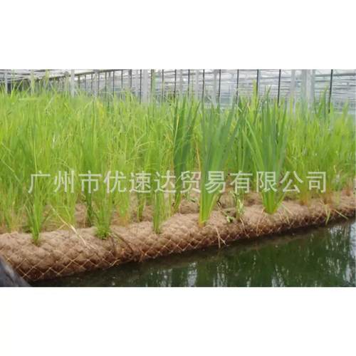 椰丝卷水生植株椰棕培养卷植物垫河道护坡生态袋治理护坡生态棒