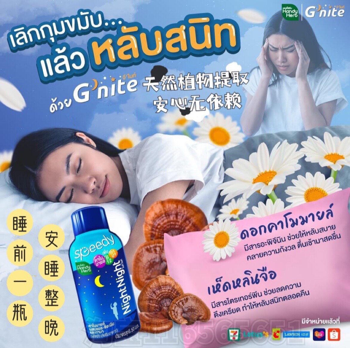 泰国进口HandyHerb洋甘菊睡眠水饮料Gnite晚安助眠非褪黑素植物提