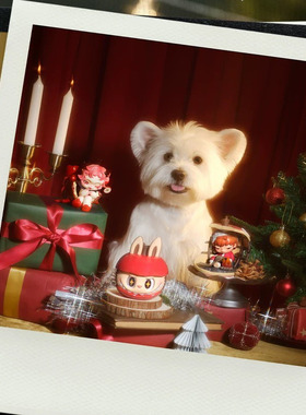 POPMART泡泡玛特你最珍贵系列手办盲盒可爱玩具礼物摆件圣诞礼物