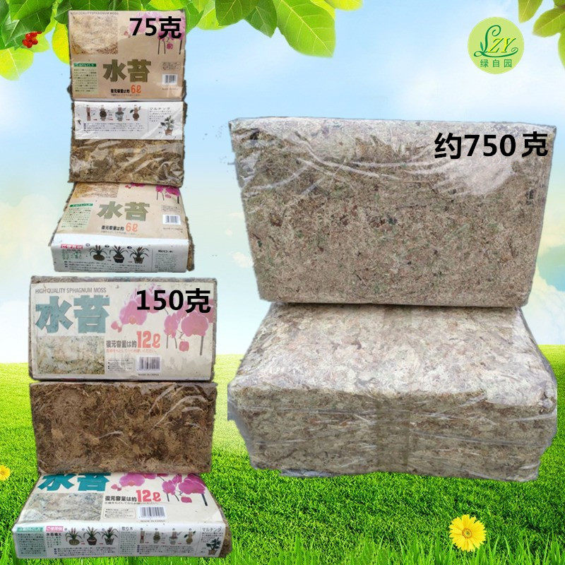 优质无菌压缩干水苔蝴蝶兰花多肉食虫植物栽培基质介质苔藓满包邮,鲜花速递/花卉仿真/绿植园艺,介质/营养土,淘宝优惠券,粉丝福利购,淘宝优惠卷