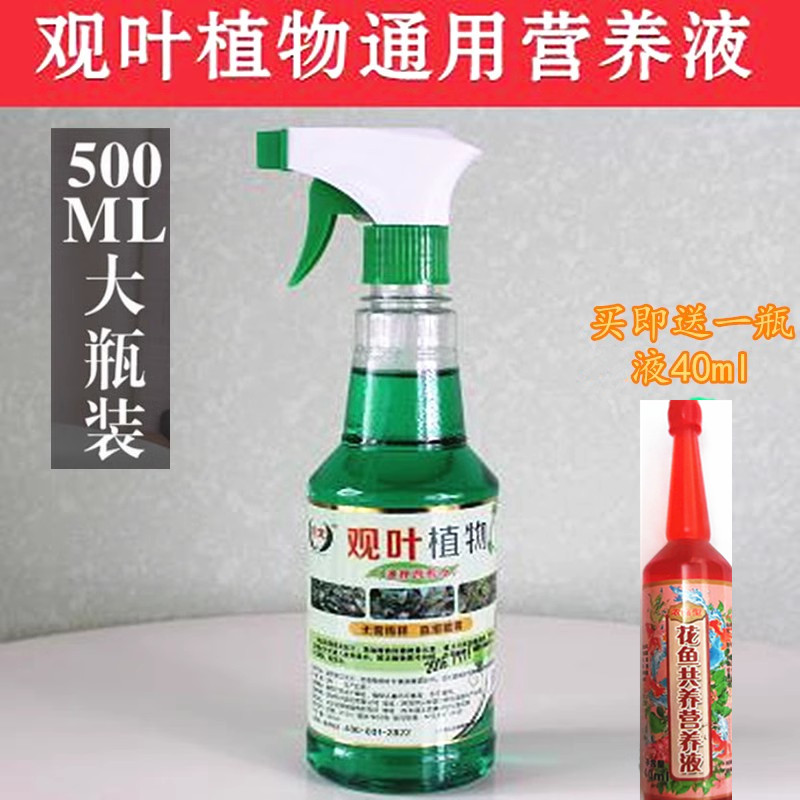 观叶植物营养液喷雾喷射剂花肥料土水培绿萝液体肥通用型18元包邮