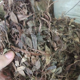 石瓜子野生500克包邮正品抱石莲中草药 金龟藤抱树莲抱石草飞连草