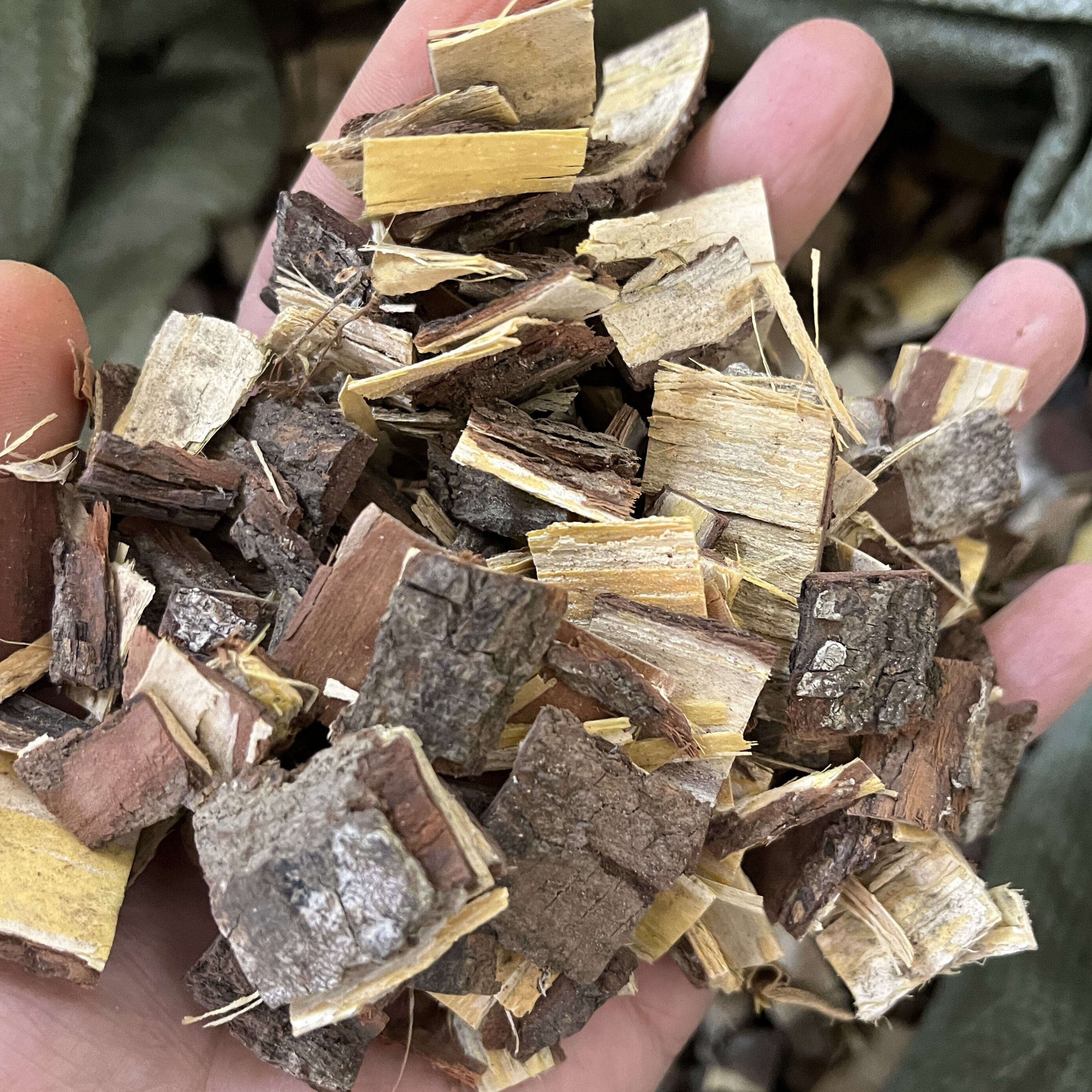 苦楝皮中药材苦练皮苦连皮干货500克