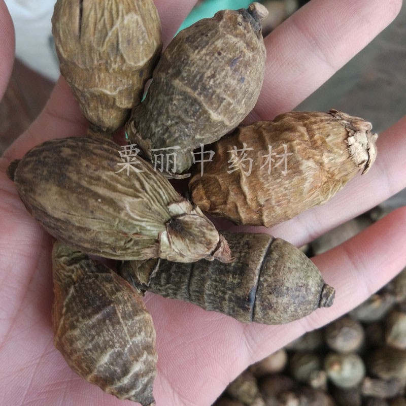 槟榔个 中药材 槟榔果 整个 大腹子 大腹皮 干品 500克包邮