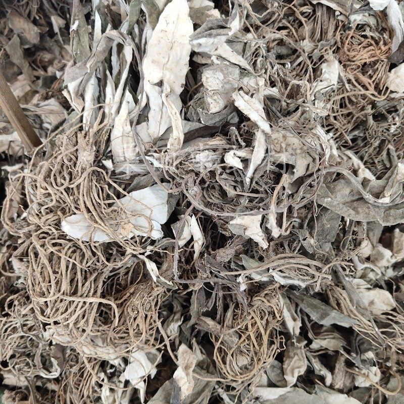 中药材白眉草 500g包邮一枝香四皮香贴地香黑眉草中草药毛大丁草