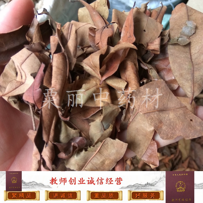 黄牛茶 黄牛木叶 凉茶 500克 干货 野生黄牛茶 九芽木 鹧鸪木